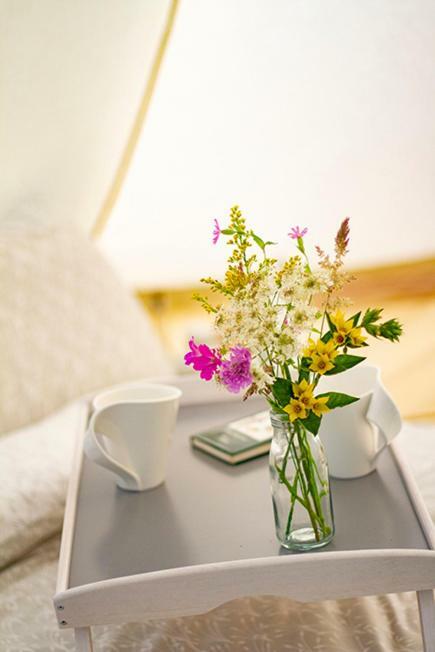 Lloyds Meadow Glamping Hotel Chester Buitenkant foto